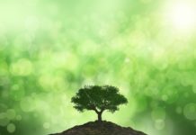 Ecoinnovazione con Mercatino