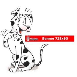Banner rotative 728x90 Top Site one shot